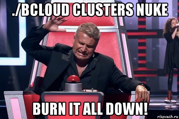 ./bcloud clusters nuke burn it all down!, Мем   Отчаянный Агутин