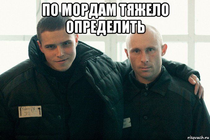 по мордам тяжело определить , Мем Пациенты