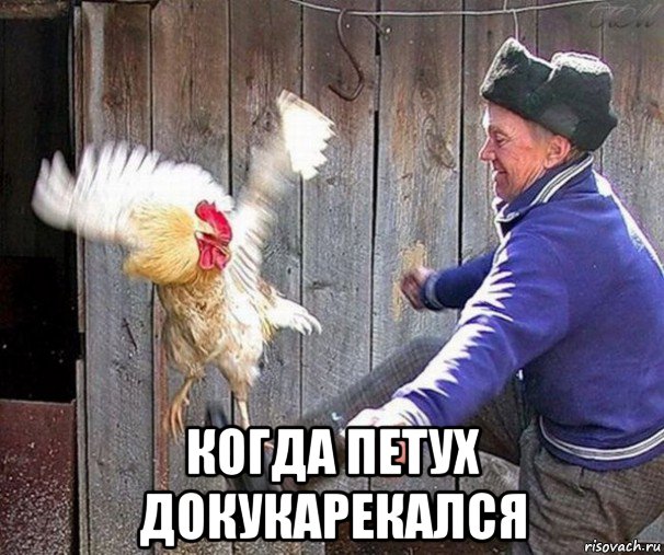  когда петух докукарекался