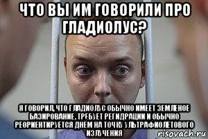 что вы им говорили про гладиолус? я говорил, что гладиолус обычно имеет земленое базирование, требует регидрации и обычно реориентируется днём на точку ультрафиолетового излучения, Мем Пидорок из роскосмоса