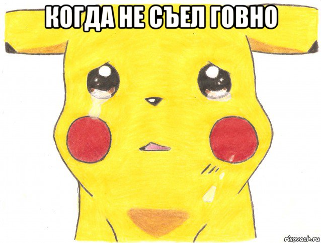 когда не съел говно 