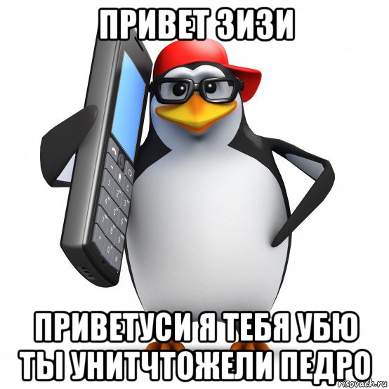 привет зизи приветуси я тебя убю ты унитчтожели педро, Мем   Пингвин звонит