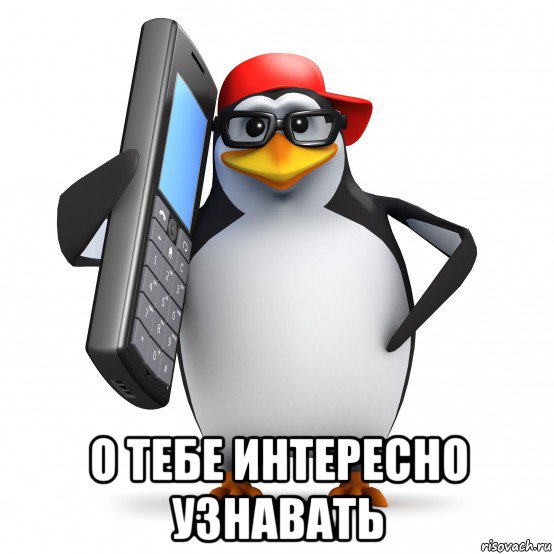  о тебе интересно узнавать, Мем   Пингвин звонит