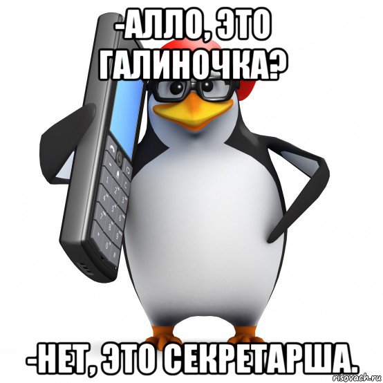 -алло, это галиночка? -нет, это секретарша., Мем   Пингвин звонит