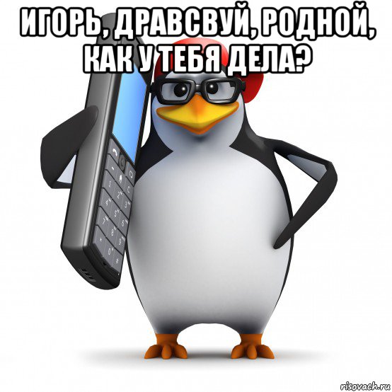 игорь, дравсвуй, родной, как у тебя дела? , Мем   Пингвин звонит