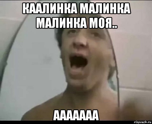 каалинка малинка малинка моя.. ааааааа, Мем По семейным обстоятельствам