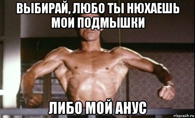 выбирай, любо ты нюхаешь мои подмышки либо мой анус