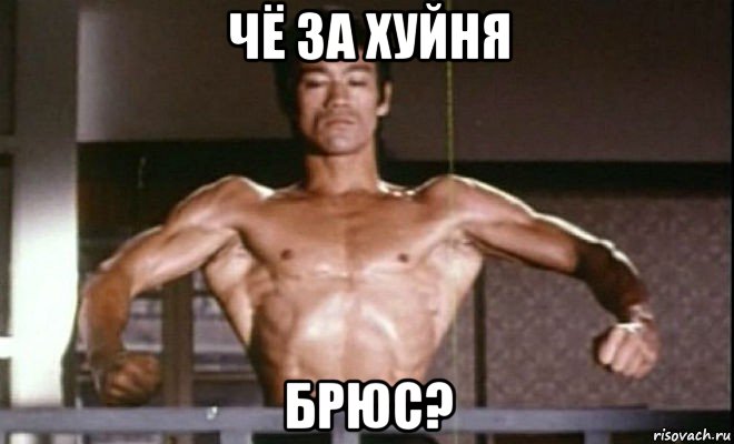 чё за хуйня брюс?