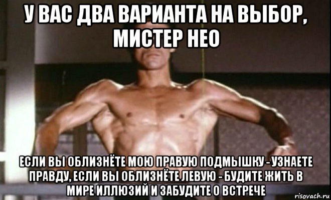 у вас два варианта на выбор, мистер нео если вы облизнёте мою правую подмышку - узнаете правду, если вы облизнёте левую - будите жить в мире иллюзий и забудите о встрече