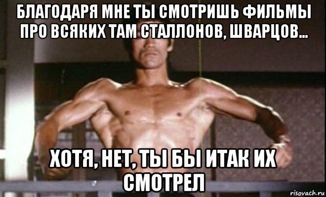 благодаря мне ты смотришь фильмы про всяких там сталлонов, шварцов... хотя, нет, ты бы итак их смотрел