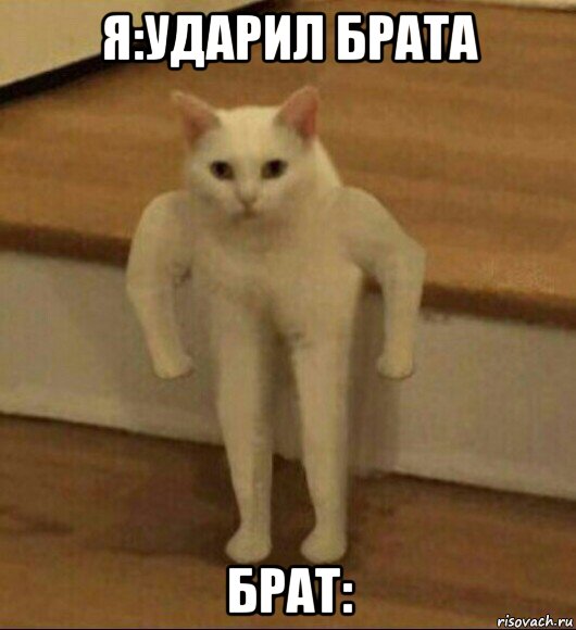 я:ударил брата брат: