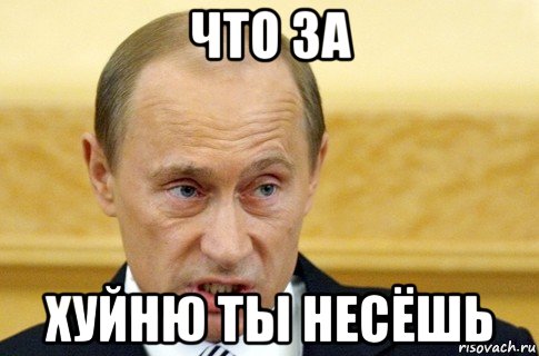 что за хуйню ты несёшь, Мем путин