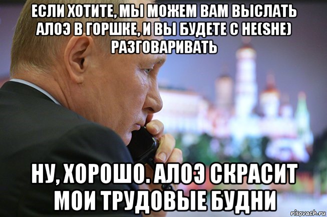 если хотите, мы можем вам выслать алоэ в горшке, и вы будете с he(she) разговаривать ну, хорошо. алоэ скрасит мои трудовые будни, Мем Путин