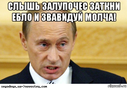 слышь залупочес заткни ебло и звавидуй молча! , Мем  Путин