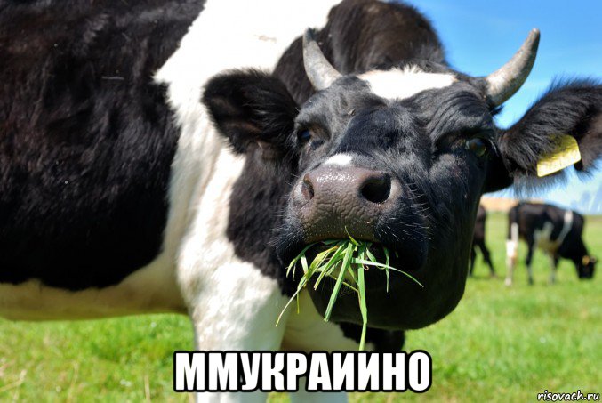  ммукраиино, Мем Рагуль