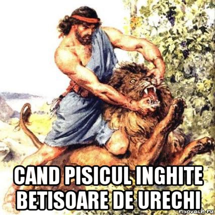  cand pisicul inghite betisoare de urechi, Мем Разрывает пасть льву