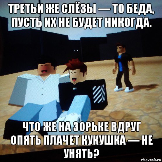 третьи же слёзы — то беда, пусть их не будет никогда. что же на зорьке вдруг опять плачет кукушка — не унять?, Мем Роблокс