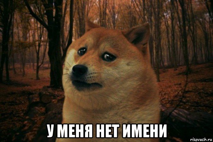  у меня нет имени, Мем SAD DOGE