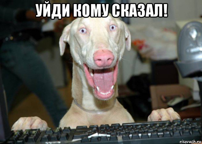 уйди кому сказал! 