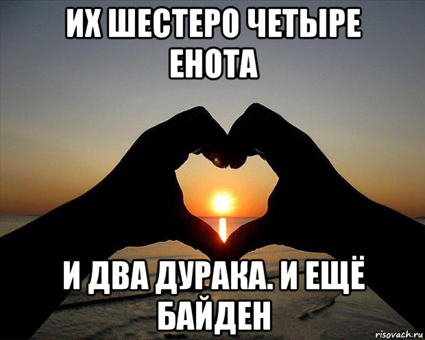 их шестеро четыре енота и два дурака. и ещё байден