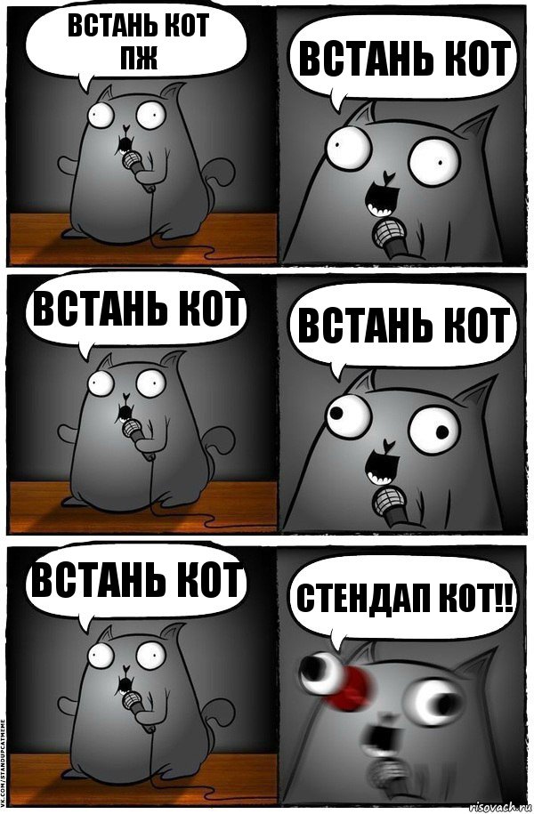 Встань кот
пж Встань кот Встань кот Встань кот Встань кот СТЕНДАП КОТ!!