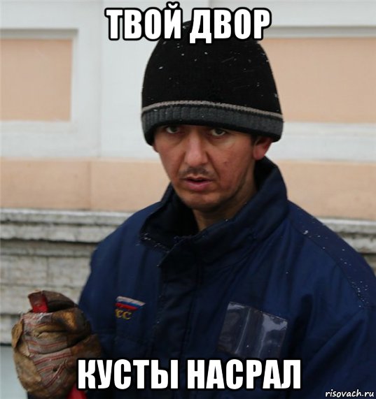 твой двор кусты насрал, Мем Таджик