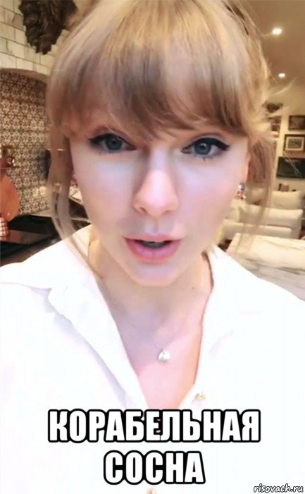  корабельная сосна, Мем Taylor swift