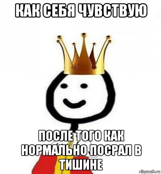 как себя чувствую после того как нормально посрал в тишине