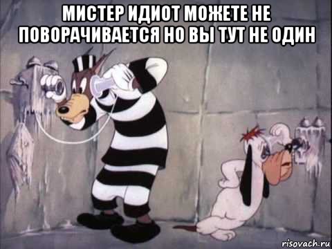 мистер идиот можете не поворачивается но вы тут не один , Мем Tex Avery