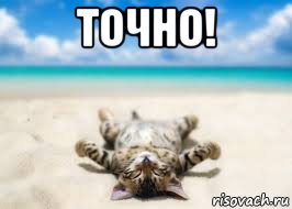 точно! , Мем Точно