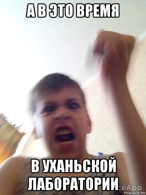 а в это время в уханьской лаборатории, Мем Уганда Миша