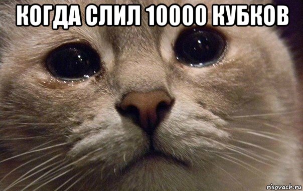 когда слил 10000 кубков 