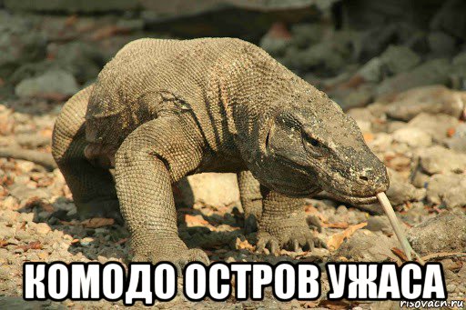  комодо остров ужаса, Мем Варан