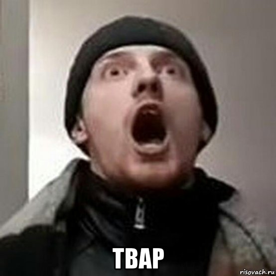  твар, Мем Vjlink