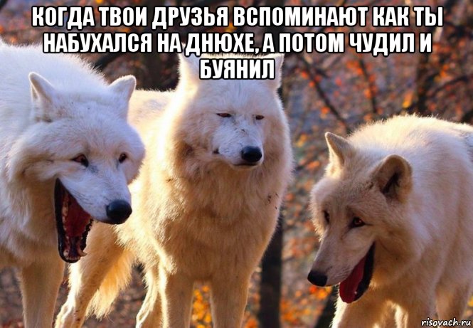 когда твои друзья вспоминают как ты набухался на днюхе, а потом чудил и буянил , Мем Волки