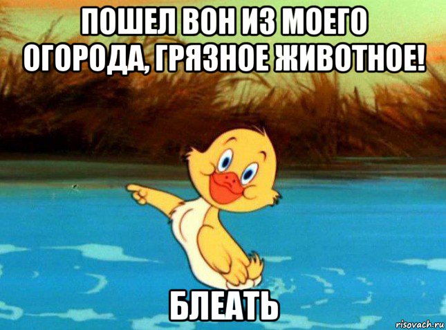 пошел вон из моего огорода, грязное животное! блеать