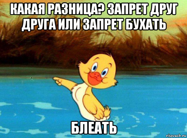 какая разница? запрет друг друга или запрет бухать блеать