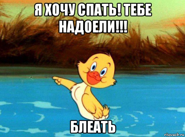 я хочу спать! тебе надоели!!! блеать
