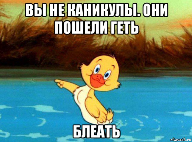 вы не каникулы. они пошели геть блеать