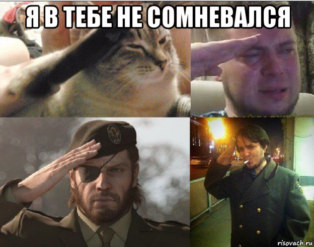 я в тебе не сомневался 