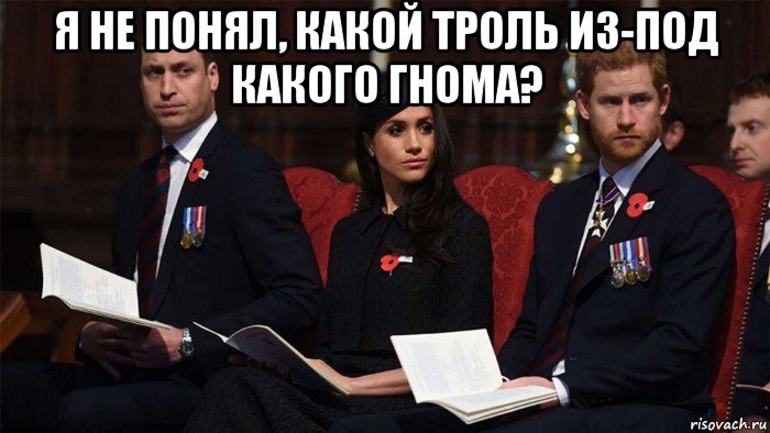 я не понял, какой троль из-под какого гнома? , Мем Winsdors