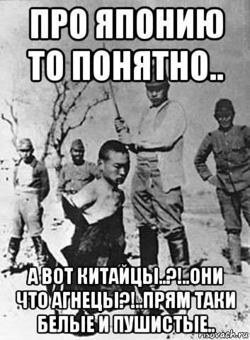 про японию то понятно.. а вот китайцы..?!..они что агнецы?!..прям таки белые и пушистые.., Мем Япония