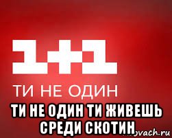  ти не один ти живешь среди скотин, Мем Жидовский пропагандофон