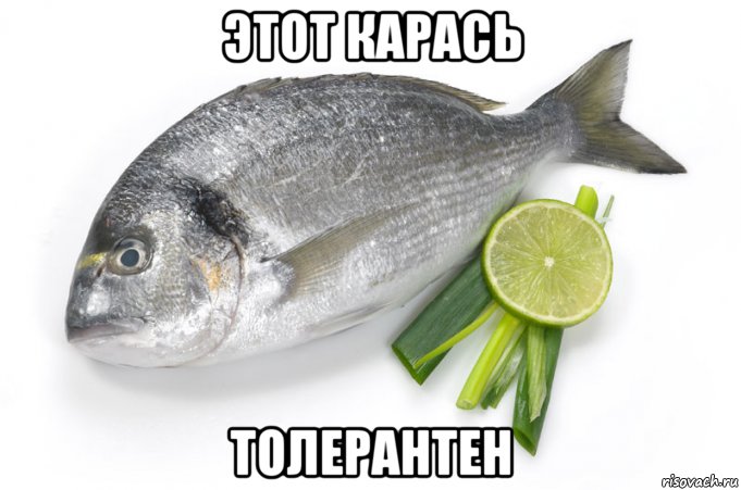 этот карась толерантен, Мем Золотистый спар