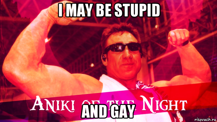 i may be stupid and gay
