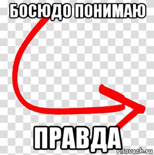 босюдо понимаю правда