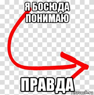 я босюда понимаю правда