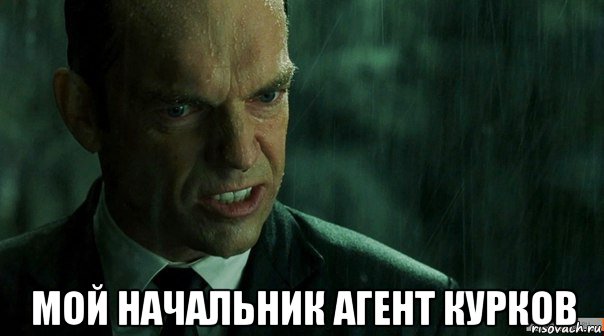  мой начальник агент курков, Мем агент смит