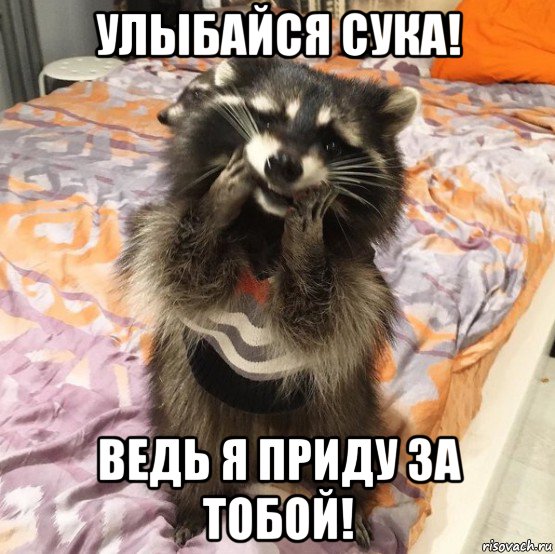 улыбайся сука! ведь я приду за тобой!, Мем Authorization