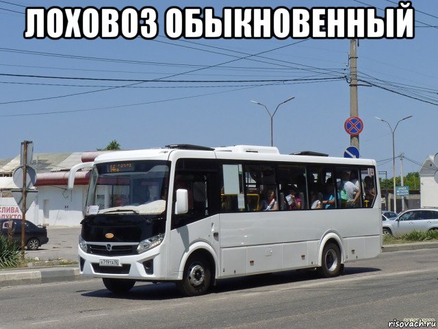 лоховоз обыкновенный , Мем Автобус